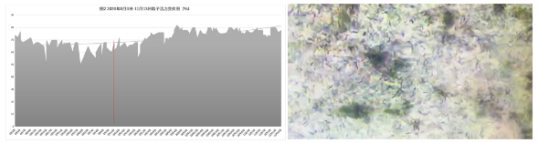 /uploads/image/2021/05/28/20210528118846_blob.png blob.png